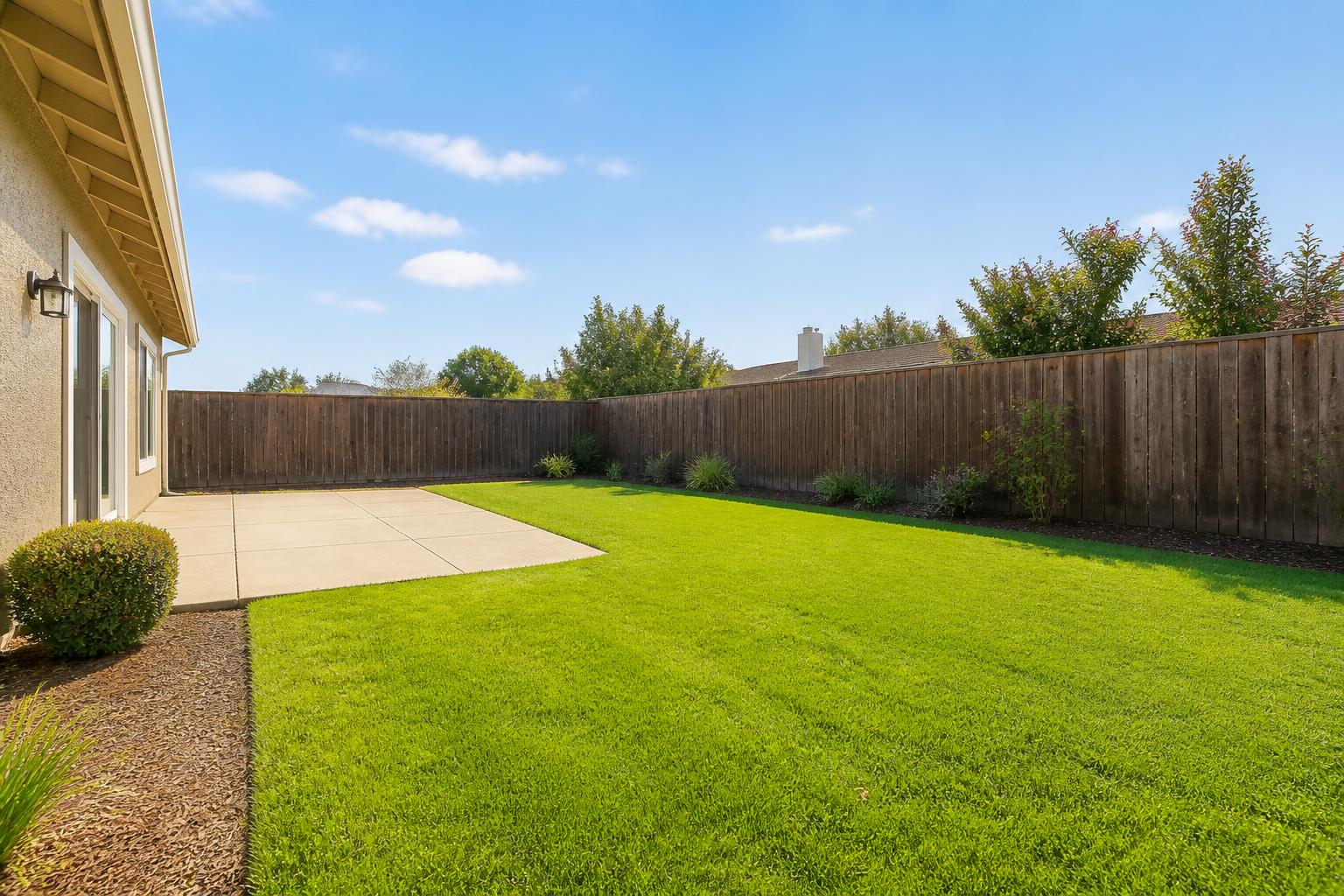 The sample backyard before any pool design
